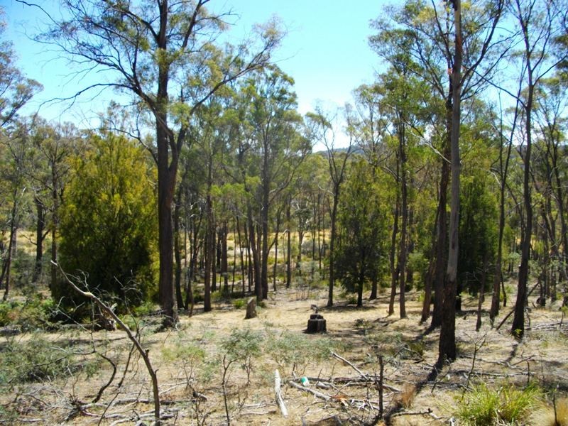 Lot 20 Hungry Flats Rd, Colebrook TAS 7027