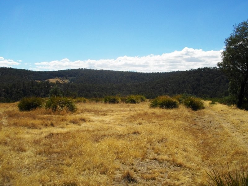 Lot 20 Hungry Flats Rd, Colebrook TAS 7027