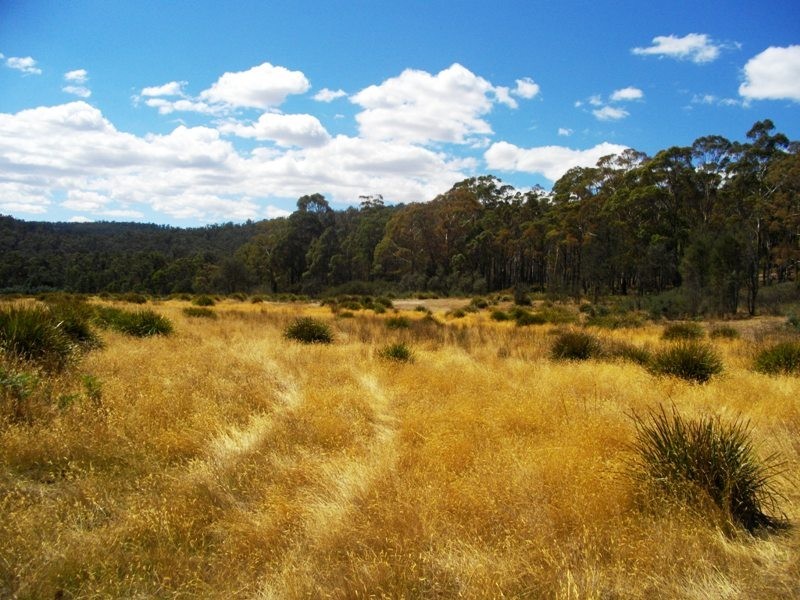 Lot 20 Hungry Flats Rd, Colebrook TAS 7027