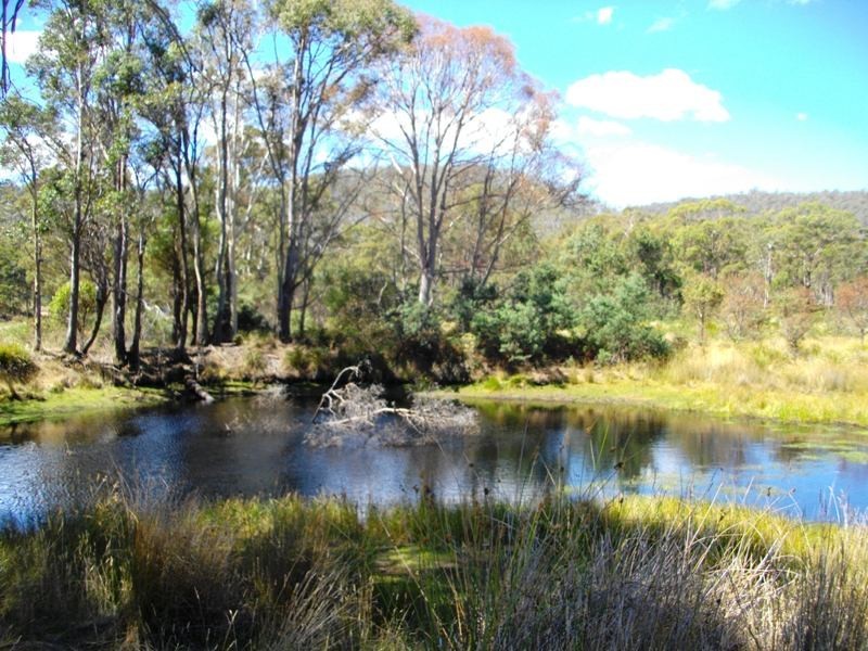 Lot 20 Hungry Flats Rd, Colebrook TAS 7027