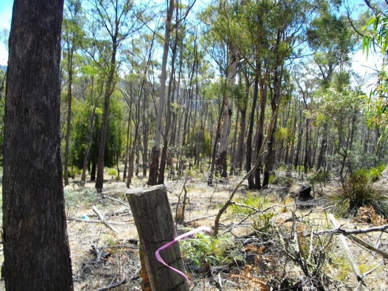 Lot 20 Hungry Flats Rd, Colebrook TAS 7027