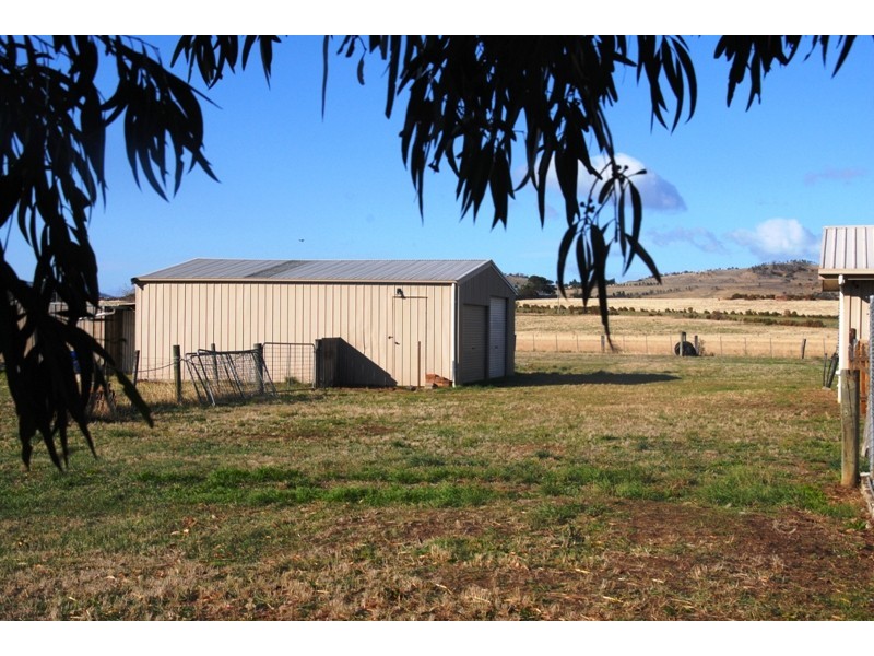Brighton TAS 7030