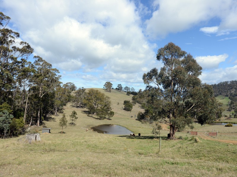 186 Grices Rd, Tea Tree TAS 7017