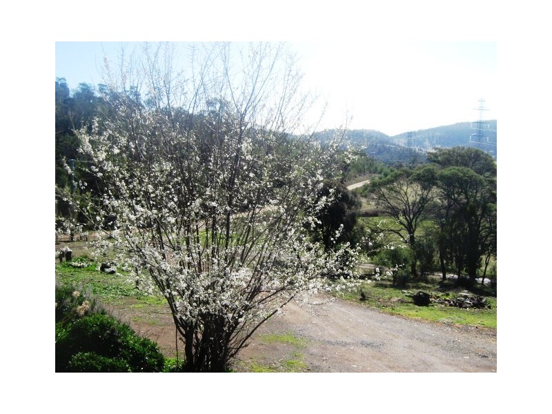 85 Nunns Road, Broadmarsh TAS 7030