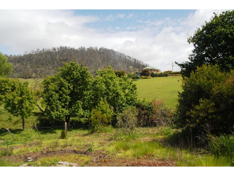 65 Swan St, Bagdad TAS 7030