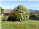 13 Alma Road, Orford TAS 7190