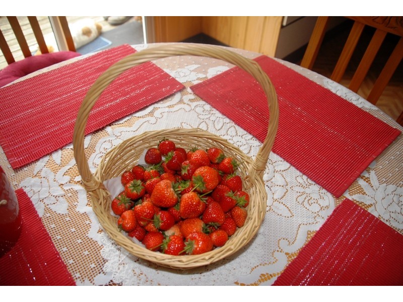 605 Huntingdon Tier Rd, Bagdad TAS 7030