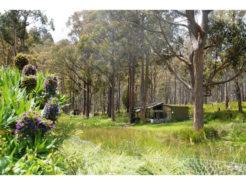 605 Huntingdon Tier Rd, Bagdad TAS 7030