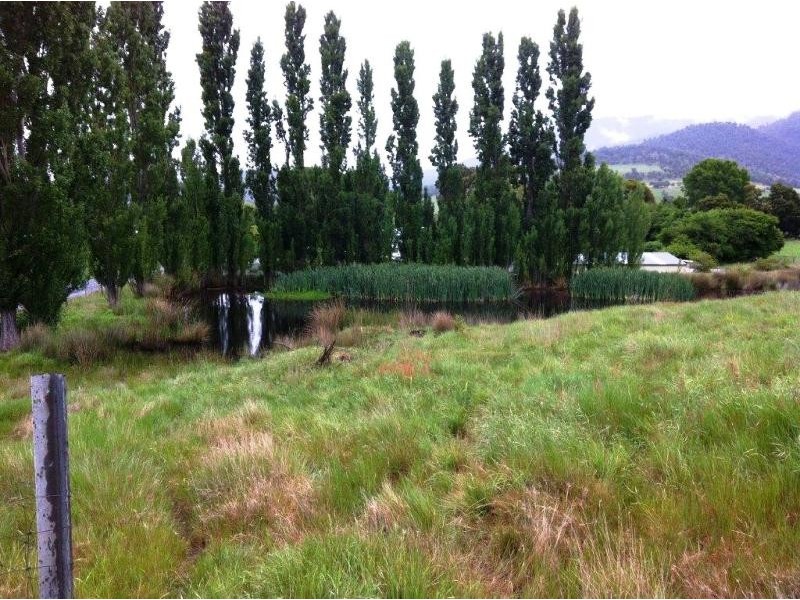 1223 Elderslie Road, Broadmarsh TAS 7030