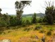 1223 Elderslie Road, Broadmarsh TAS 7030