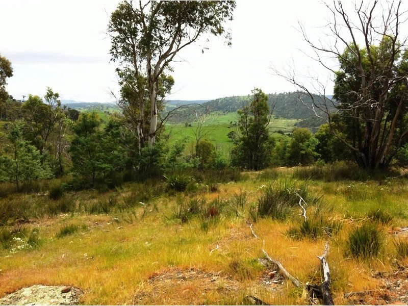 1223 Elderslie Road, Broadmarsh TAS 7030