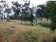 1223 Elderslie Road, Broadmarsh TAS 7030