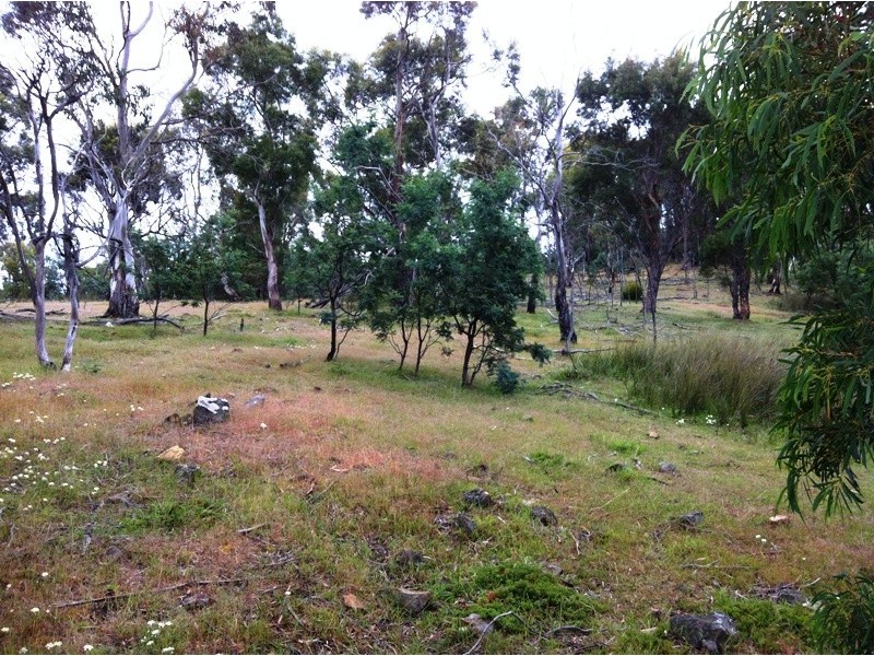 1223 Elderslie Road, Broadmarsh TAS 7030