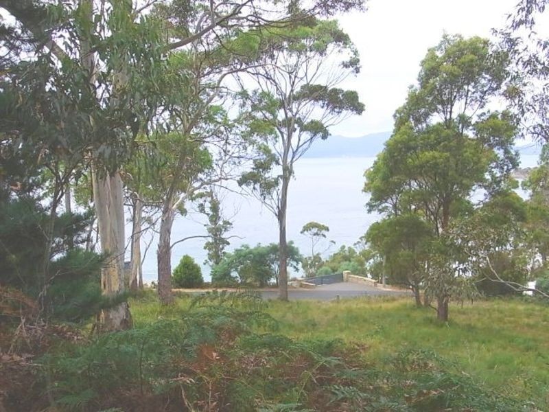 20 Mercury Place, Orford TAS 7190