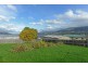 20 McShane Road, Bridgewater TAS 7030