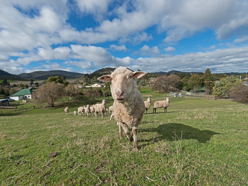 6 Green Valley Road, Bagdad TAS 7030
