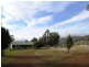 50 New Country Marsh Road, Levendale TAS 7120