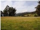 50 New Country Marsh Road, Levendale TAS 7120