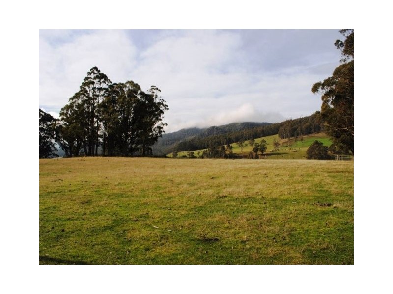 50 New Country Marsh Road, Levendale TAS 7120