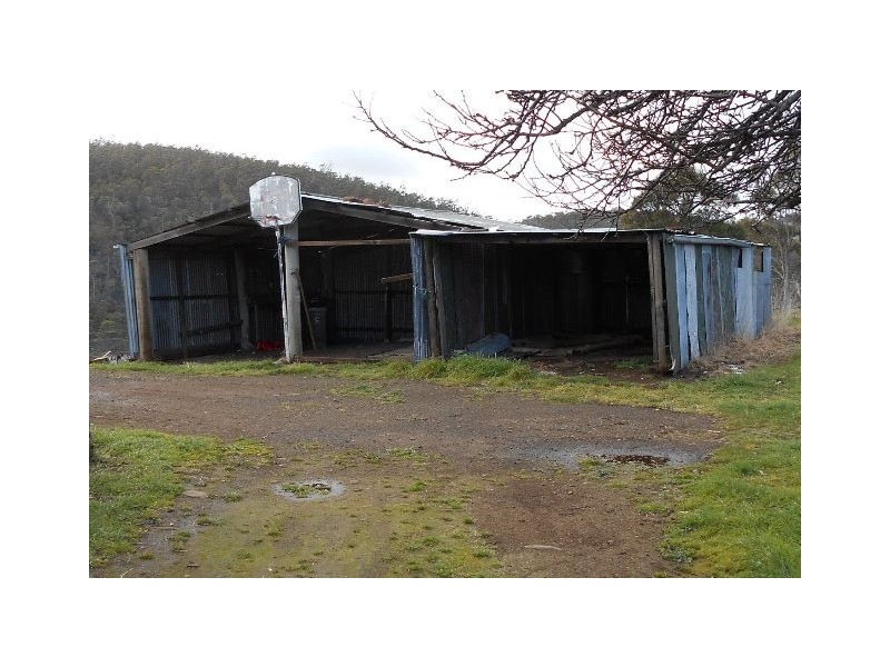 218 Wiggins Road, Wattle Hill TAS 7172