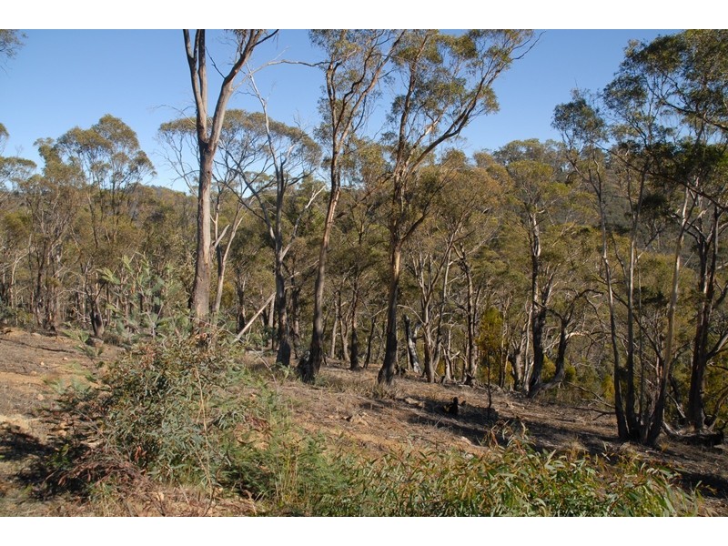 00 Williams Lane, Dysart TAS 7030