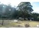 “Lone Pine” Church Road, Dromedary TAS 7030