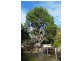 “Lone Pine” Church Road, Dromedary TAS 7030