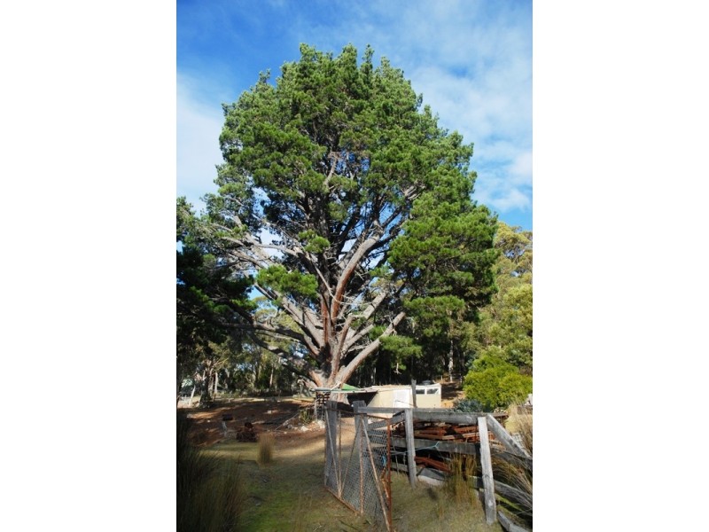 “Lone Pine” Church Road, Dromedary TAS 7030