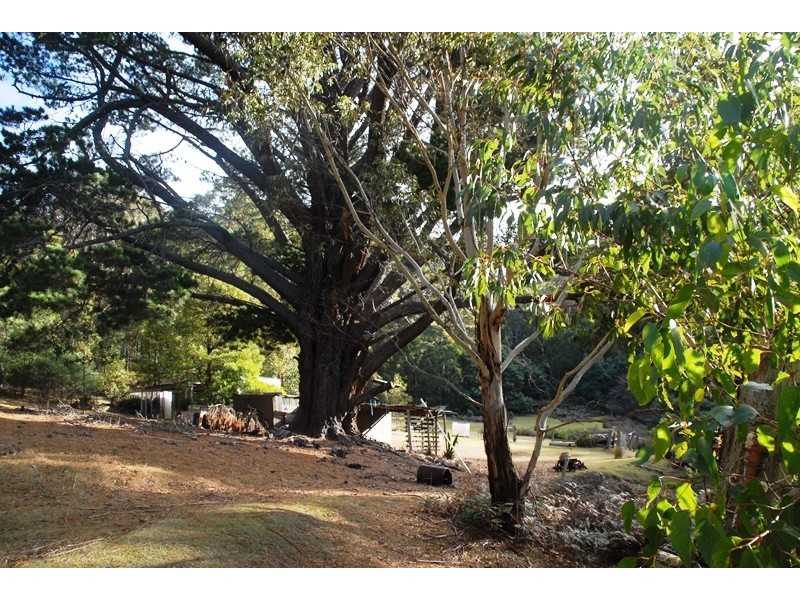 “Lone Pine” Church Road, Dromedary TAS 7030