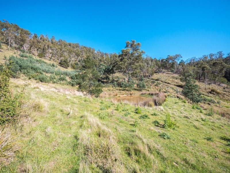 90 Gangells Lane, Bagdad TAS 7030