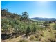 90 Gangells Lane, Bagdad TAS 7030