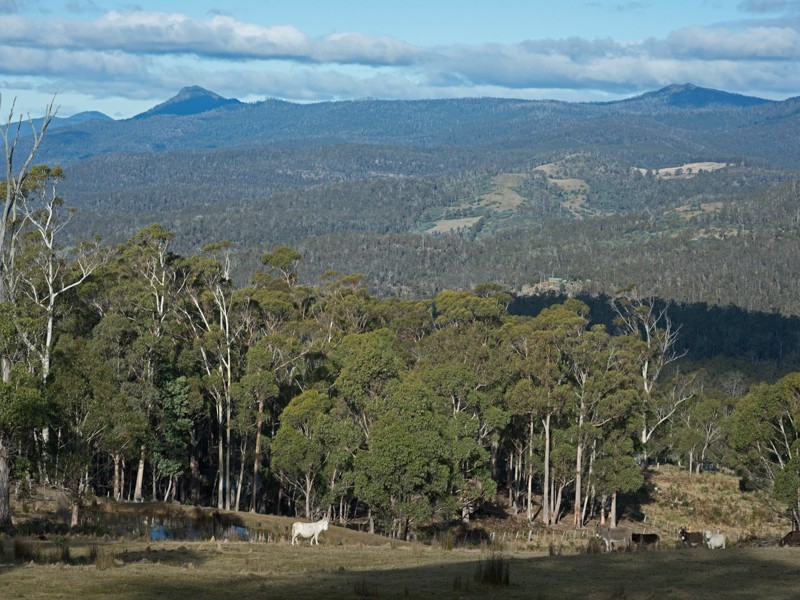 10 Espies Craig Road, Pelham TAS 7030