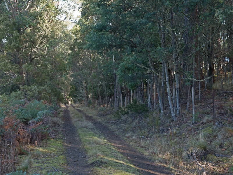 10 Espies Craig Road, Pelham TAS 7030
