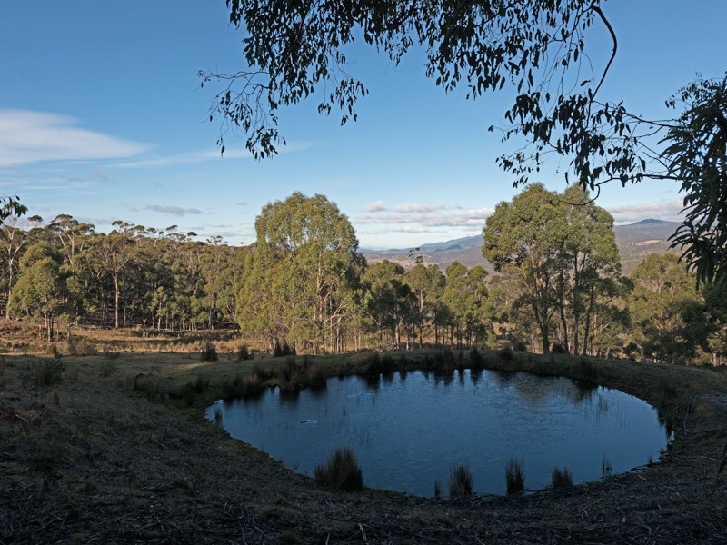 10 Espies Craig Road, Pelham TAS 7030
