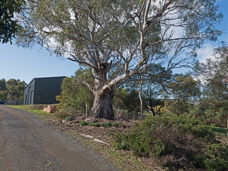 5 Piesse Court, Brighton TAS 7030