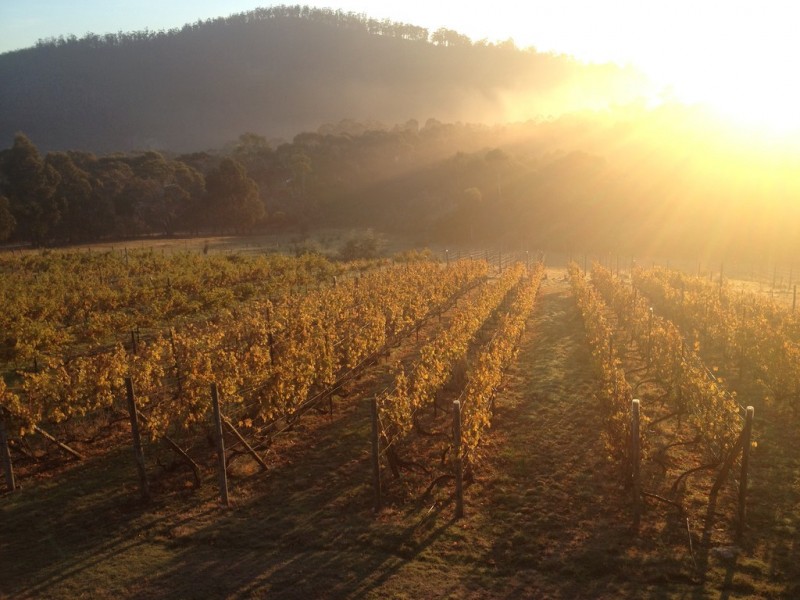 103 Centauri Drive, Mount Rumney TAS 7170