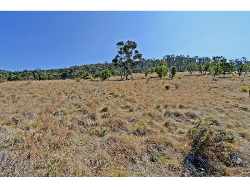 646 Boyer Road, Dromedary TAS 7030