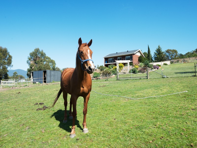 58 Baskerville Road, Old Beach TAS 7017