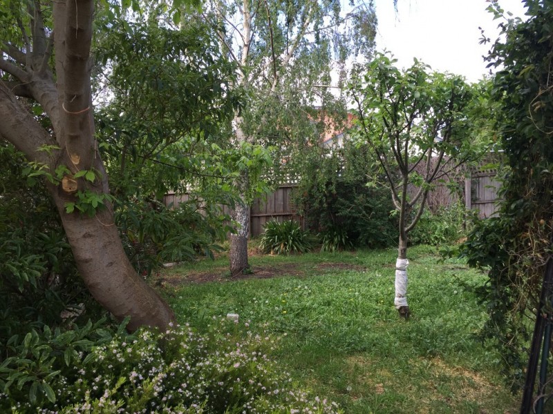 7 Windsor Street, Glenorchy TAS 7010