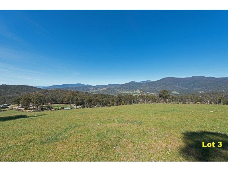 Lot 3 Moss Beds Road, Lachlan TAS 7140