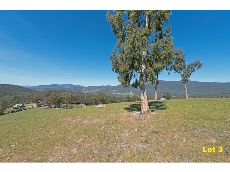 Lot 3 Moss Beds Road, Lachlan TAS 7140