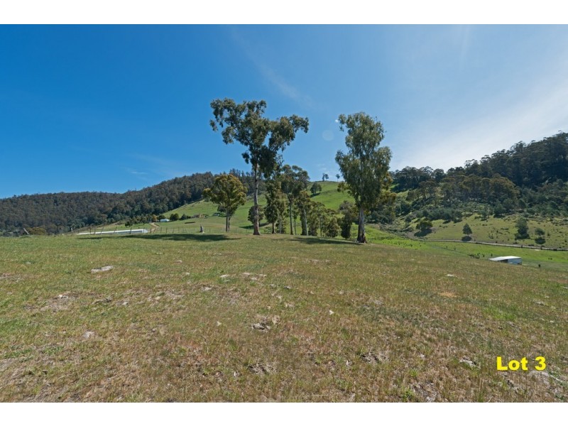 Lot 3 Moss Beds Road, Lachlan TAS 7140