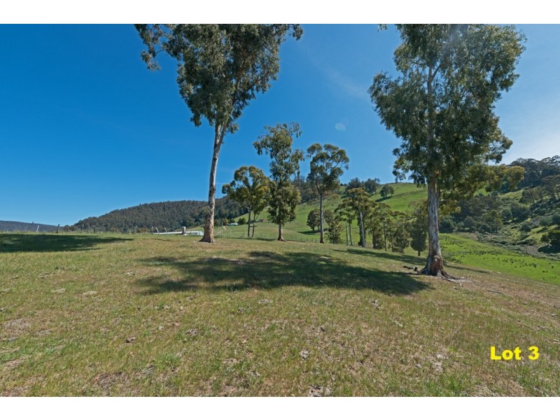 Lot 3 Moss Beds Road, Lachlan TAS 7140