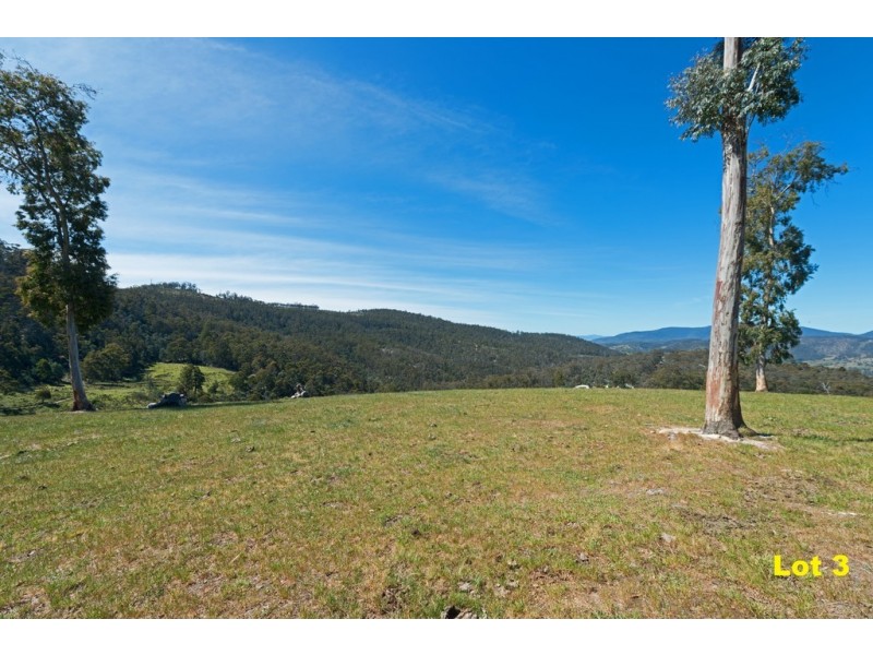 Lot 3 Moss Beds Road, Lachlan TAS 7140