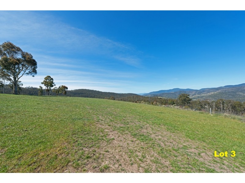 Lot 3 Moss Beds Road, Lachlan TAS 7140