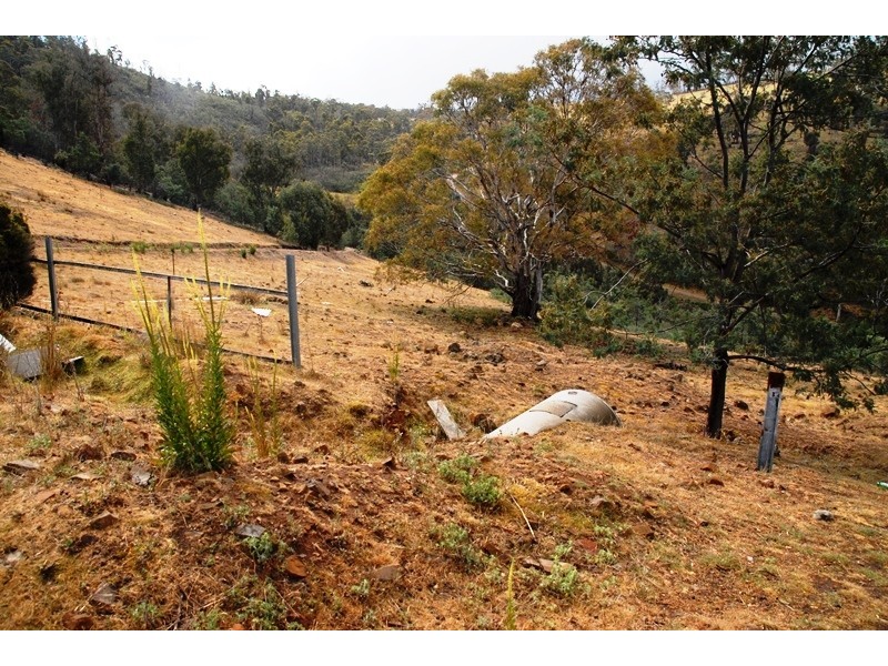 1608 Bluff Road, Elderslie TAS 7030