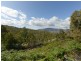 261 Millvale Road, Dromedary TAS 7030