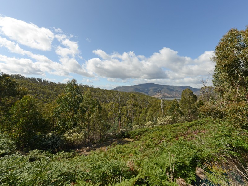 261 Millvale Road, Dromedary TAS 7030