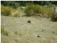 Lot 15 Menzies Road, Lachlan TAS 7140