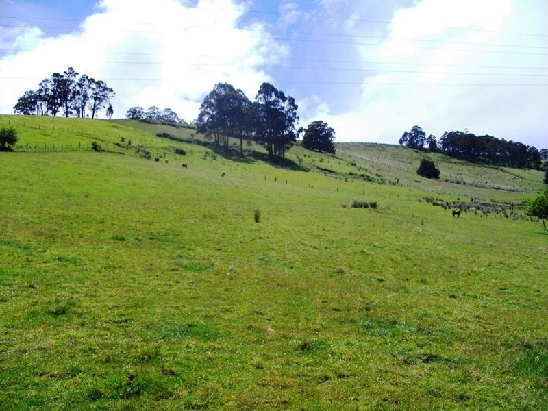 5 Hellessey Road, Collinsvale TAS 7012